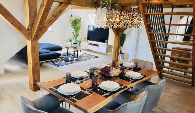 SiOUX: stylish 5-room apartment in the attic