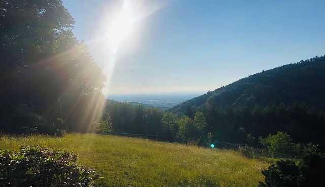 Spacious apartment in a unique location by the forest with fantastic views.