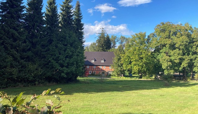 Spacious historical house for 12 guests