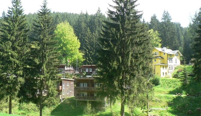 Spacious, idyllically situated vacation home in the forest