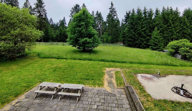 Spacious semi-detached house with wood stove located directly on the Rennsteig