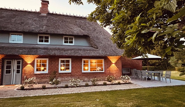 Steuerbord - secluded, near the beach, terrace, wood-burning stove, barbecue