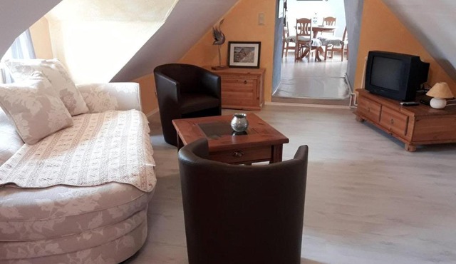 Storchennest-in-der-Schusterei