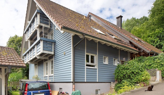 Studio Apartment 'Ferienwohnung Zur Schauinslandbahn' with Mountain View, Private Terrace and Wi-Fi
