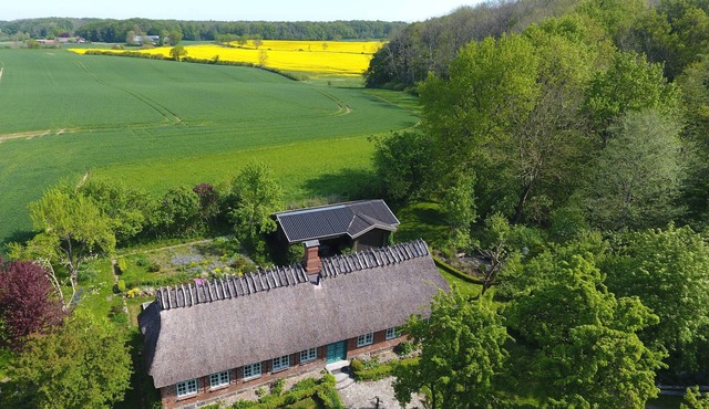 Stylish thatched cottage in the middle of nature
