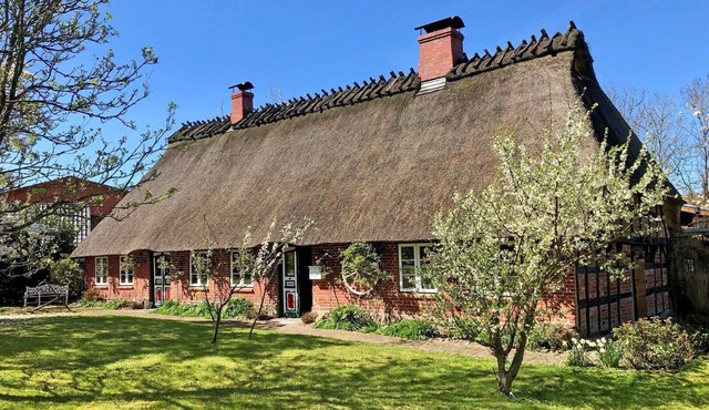 Stylish thatched house "Schöne von Angeln" in picturesque surroundings with a beautiful garden and two terraces that let you catch the sun's rays at any time of day and are ideal for families and couples traveling together who want to enjoy the peace and.