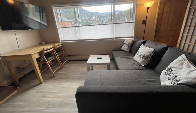 Super-Comfy Space, Furnished, Awesome Views, LIGHT, a Deck, Newly Renovated