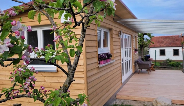 Super cozy tiny house with terrace