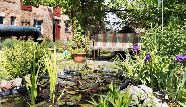 Switch Off from Everyday Life, Enjoy Peace and Nature