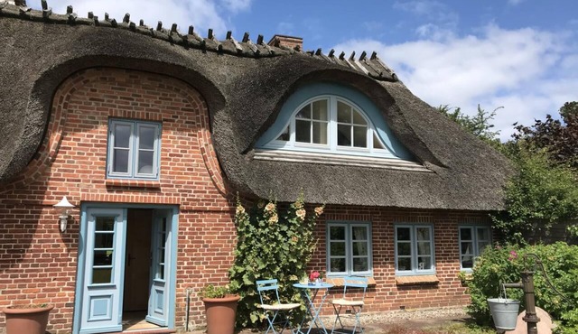 Thatched cottage in the countryside