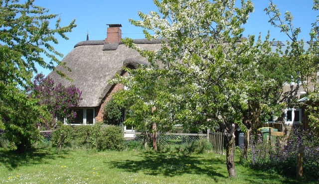 Thatched Frisian house from 1860, ideal family accommodation Pet-friendly