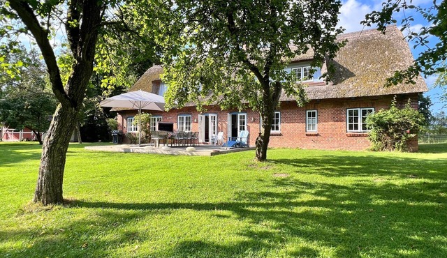 Thatched-roof cottage Ölböhm with large garden on Lake Selent - a paradise for families
