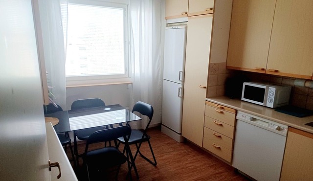 The apartment is near the city center. Free parking