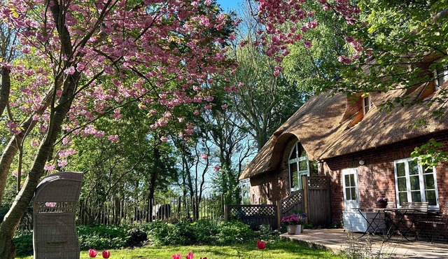 Throws Simmerdeis/Apartment 2 in the thatched roof house with park-like garden