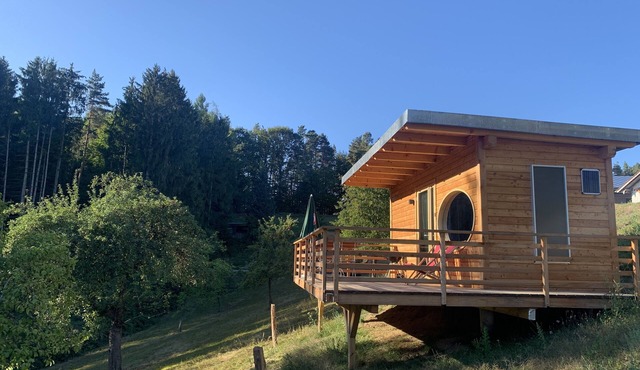 Tiny House Waldbeobachter *Sauna*