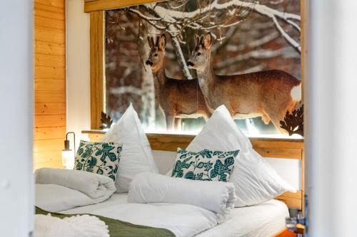 Tonbach 52, Schwimmbad, Sauna, Solarium, Terrasse