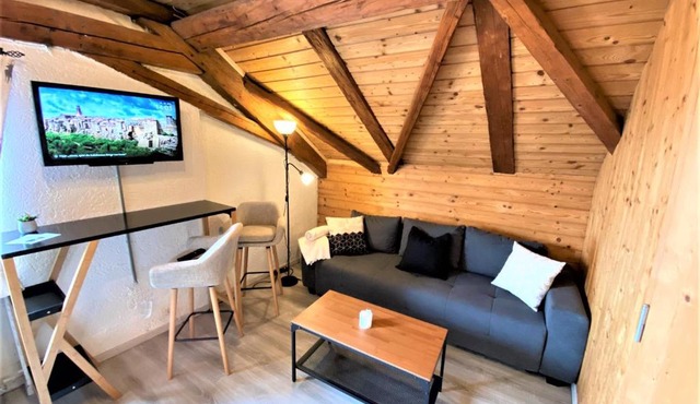 TOP-URIGES Studio mitten im Bayerischen Wald +NETFLIX