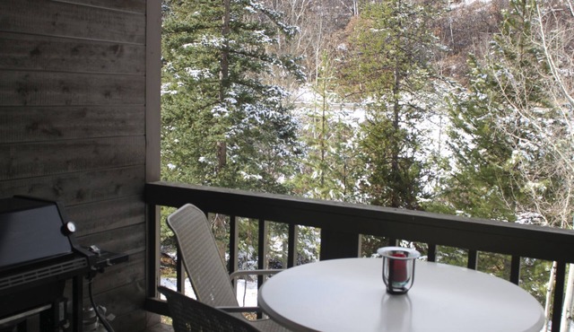 Townhome 2 bed/2.5 bath w/Attached Heated Garage- < 2 miles to Yampa Med Ctr