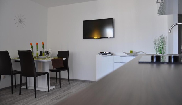 Traditional Apartments Vienna TAV