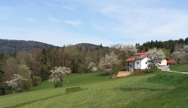 Traumhaftes neu Renoviertes Apartment mit Herrlichem Ausblick & top Ausstattung