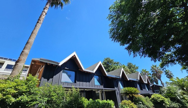 Tree Story Pension