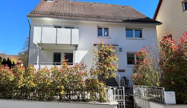 TTP 15 Markdorf