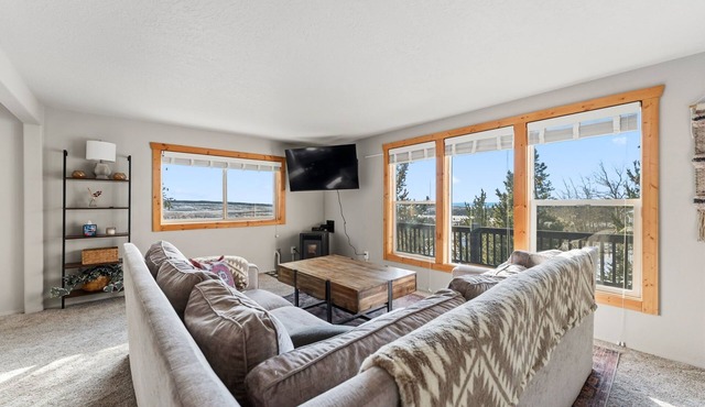 Two Cubs Cabin In-Town Fairplay with Big Views