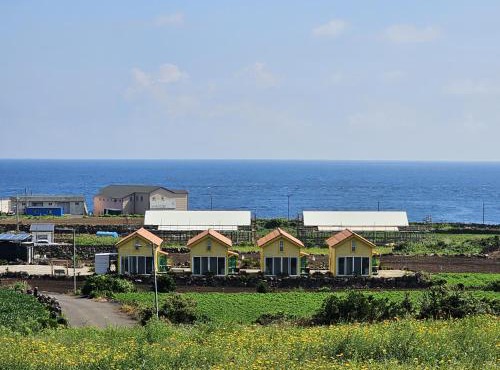 Udo Sunflower Pension