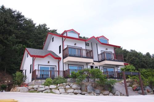 Uljin Blue Ara CD pension