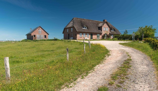 Urlaub in Nordfriesland - Abseits des Massentourismus Ferienwohnung Rüm Hart