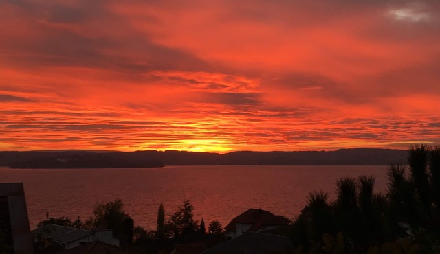 Vacation apartment in a prime residential location with a fantastic view of the island of Mainau