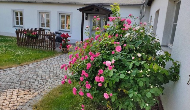 Vacation apartment Mühlenhof with pet - Ferienwohnungen Mühlenhof