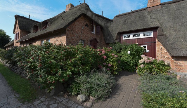 Vacation apartment/apartment for 4 guests with 60m² in Wrixum on Föhr (47470)
