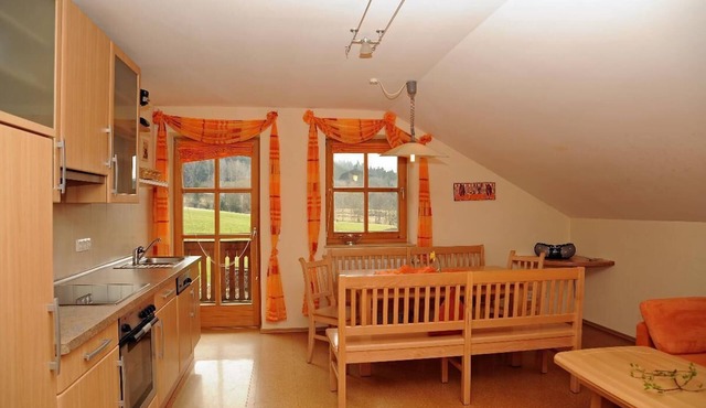 Vacation apartment (70sqm) with balcony and use of sauna