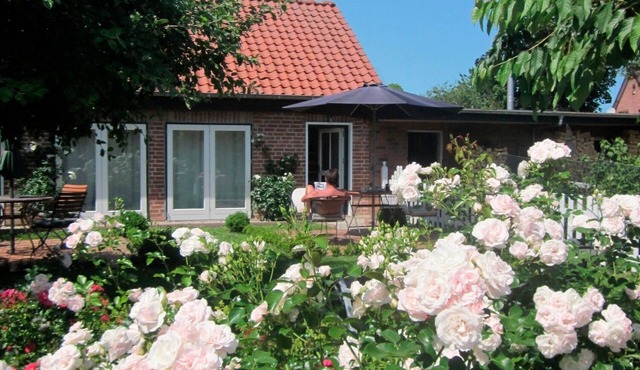 Vacation apartment/apartment for 4 guests with 55m² in Riepsdorf (5782)
