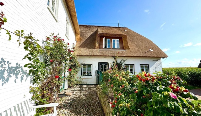 Vacation apartment/apartment for 4 guests with 48m² in Dunsum (267202)