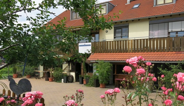 Vacation apartment at the Weinhof | In the middle of the vineyards and close to the city