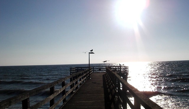 Vacation apartment for 4 people in Süssau on the Baltic Sea