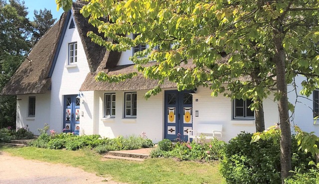 Vacation apartment in a thatched house, directly on the beach for 2-4 people