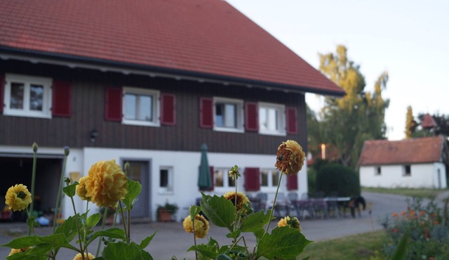 Vacation apartment on a farm in the beautiful Allgäu with sunbathing lawn and fireplace