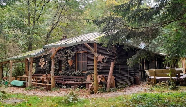 Vacation home Das wilde Auwaldhaus - Holiday apartment