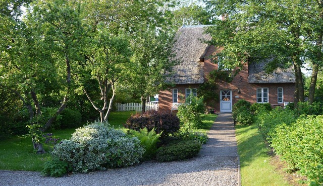 Vacation home for 4 guests with 70m² in Süderende (132127)