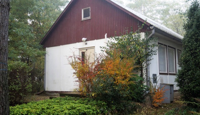 Vacation home for 5 guests with 34m² in Friedland (183182)