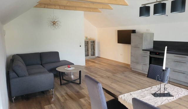 Vacation in lavishly renovated top floor apartment