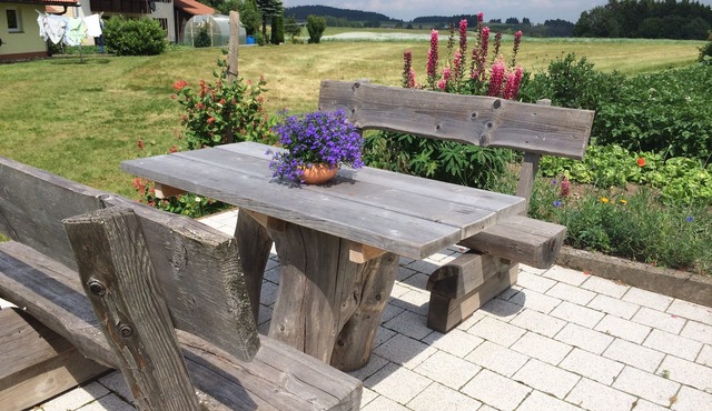 Vacation on a farm - discover and experience nature
