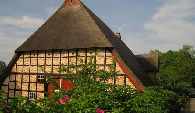 Vacation under thatch
