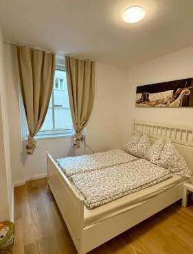 Vienna Laurenz apartment