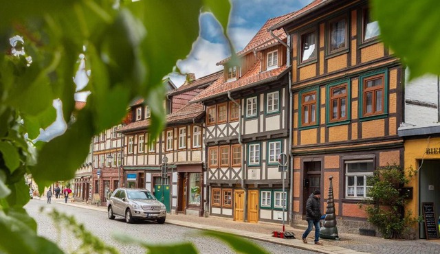 Villa-Duck-Dich 29