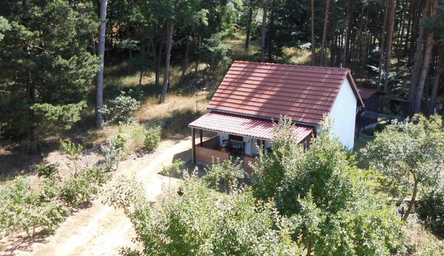Wald&Wiesengeflüster Zechlinerhütte