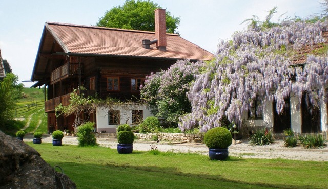 Wampendobler Paradies